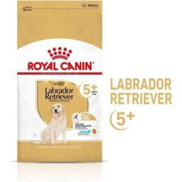 Royal Canin Breed Labrador Retriever Adult 5+