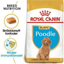 Royal Canin Poodle Puppy (3 kg)
