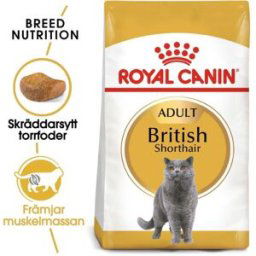 Royal Canin British Shorthair (10 kg)
