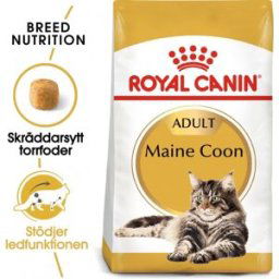 Royal Canin Maine Coon (4 kg)