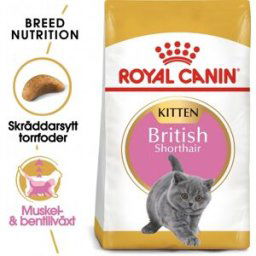 Royal Canin British Shorthair Kitten (2 kg)