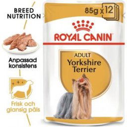 Royal Canin Yorkshire Terrier Wet (12x85g)