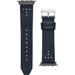 Ted Baker blått läderarmband för Apple Watch 42/44/45/49 mm BKS42S219B0