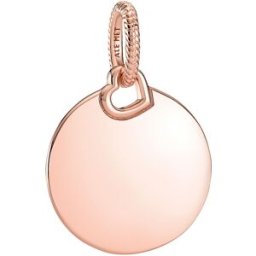 Pandora Engravable Round Tag berlock 388610C00