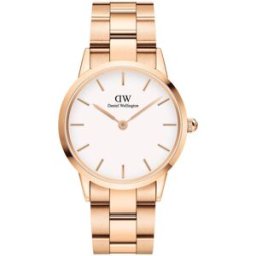 Daniel Wellington Iconic Link 36 Rose Gold White DW00100209