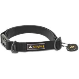 OllyDog Tilden Collar Black S