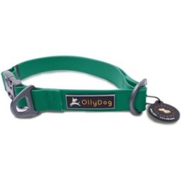 OllyDog Tilden Collar Teal S