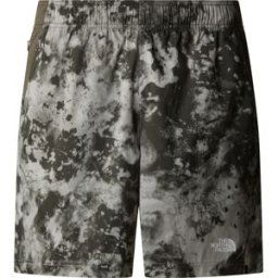 The North Face Men's 24/7 Printed Shorts Clay Grey Micro Halfdome Print/New Taupe Green S