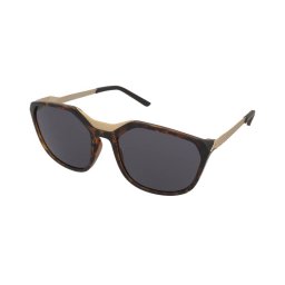 Sunglasses Alpina Fleek Havana Gold Gloss/Black