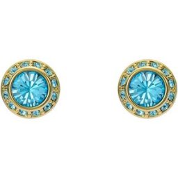 Ted Baker Soletia stiftörhängen TBJ3698-02-30