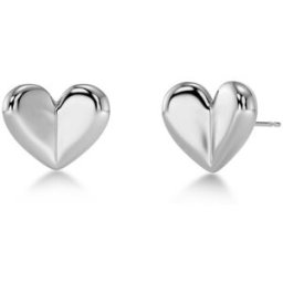 Edblad True love stiftörhängen silverfärgade 127883
