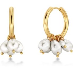 Edblad Pearl signet hoops guldfärgade 127828