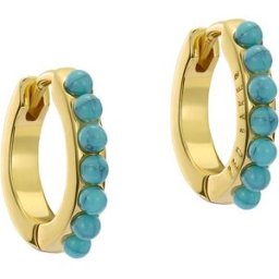 Ted Baker Persia hoops TBJ3983-02-32
