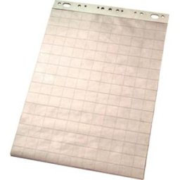 BlÃ¤dderblock ESSELTE Olinjerat/linjerat/rutat, 55x75cm, 5/fp