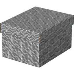 FÃ¶rvaringsbox Esselte Home grÃ¥ Small (3)