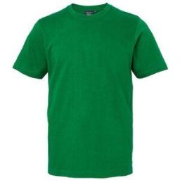 T-shirt SOUTH WEST Kings GOTS grÃ¶n S