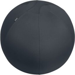 Sittboll LEITZ Ergo m stopp mÃ¶/grÃ¥ 65cm