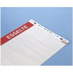BlÃ¤dderblock ESSELTE Olinjerat/linjerat/rutat, 60x84cm, 5/fp