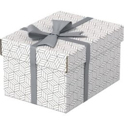 FÃ¶rvaringsbox Esselte Home vit Small (3)