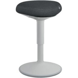 Sittpall LEITZ Ergo Active LjusgrÃ¥