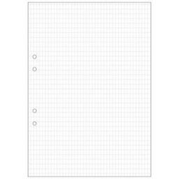 LÃ¶sblad A4, hÃ¥lat, rutat hÃ¶g, 500/fp
