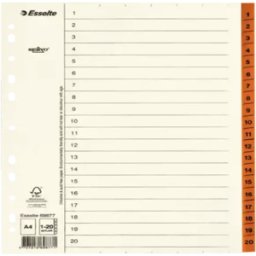 PÃ¤rmregister ESSELTE A4 1-20, flikfÃ¶rstÃ¤rk 10st