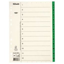 PÃ¤rmregister ESSELTE A4 1-12 GrÃ¶n, flikfÃ¶rstÃ¤rkt 10st