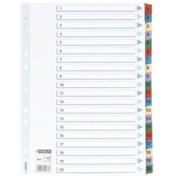 Register ESSELTE Mylar A4 1-20 multifÃ¤rgat