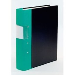 Fujitsu Siemens GaffelpÃ¤rm FSC A4 60mm grÃ¶n