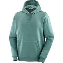 Salomon Men's Logo Pride Hoodie North Atlantic M