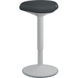 Leitz Ergo Active StÃ¥pall Komfortsits LjusgrÃ¥