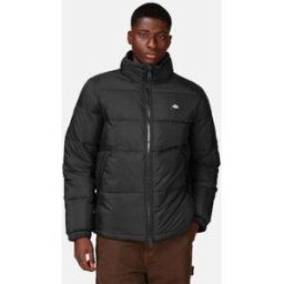 Dickies Jacka - Waldenburg Male XS Svart