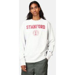 Champion Premium Sweatshirt - Reverse Weave Male M Grå