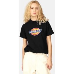 Dickies T-shirt - Icon Logo Female M Svart