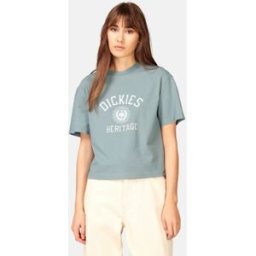 Dickies T-shirt Relaxed fit Female XS Grön