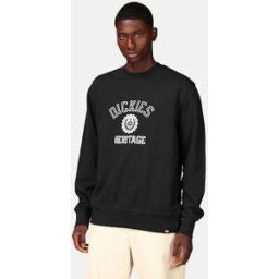Dickies Sweatshirt med tryck Male XS Svart