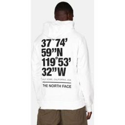 The North Face Hoodie - Coordinates Male S Vit