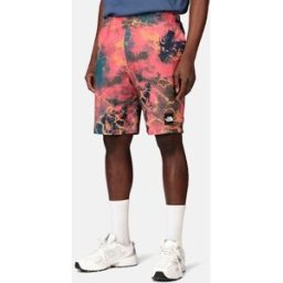 The North Face Shorts - Summer Male M Rosa