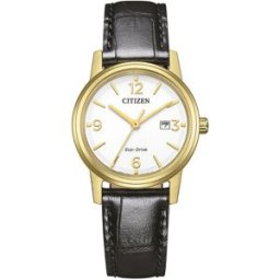 Citizen Eco-Drive EW2722-01A