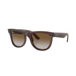 Sunglasses Ray-Ban Wayfarer Reverse RBR0502S 6709CB