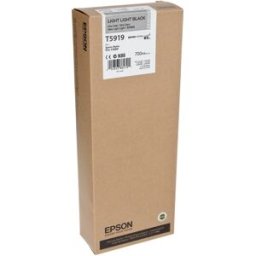 Epson Light light black T591 700 ml T5919