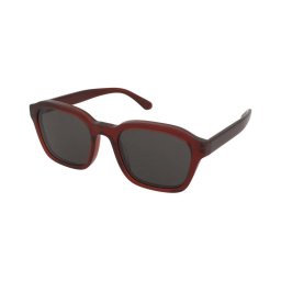 Solglasögon Emporio Armani EA4245U 6248/87