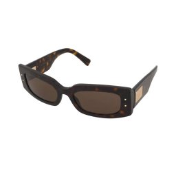 Solglasögon Dolce & Gabbana DG4479 502/73
