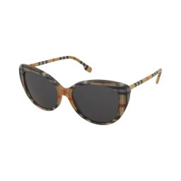 Solglasögon Burberry BE4407 4087/87