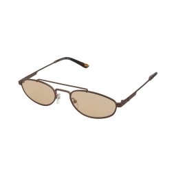 Solglasögon Emporio Armani EA2157 3006/7