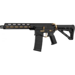 Annan Tillverkare Zion Arms R15 MOD 1 Long AEG 6mm - Svart/Guld