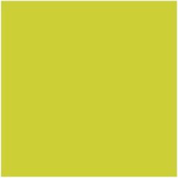 Servett DUNI 2-lags 33x33cm kiwi 125/fp