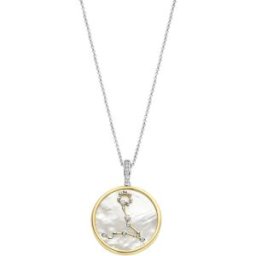 TI SENTO Written in the stars stjärntecken halsband fiskarna 6826PI