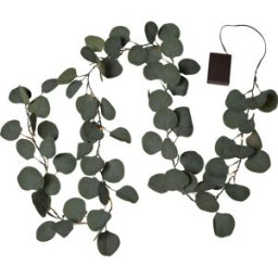STAR TRADING Ljusslinga Eucalyptus timer 180cm