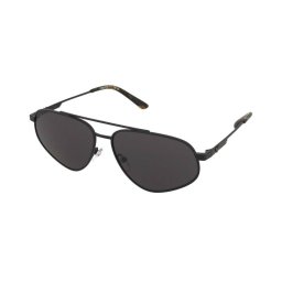 Sunglasses Emporio Armani EA2156 3001/87